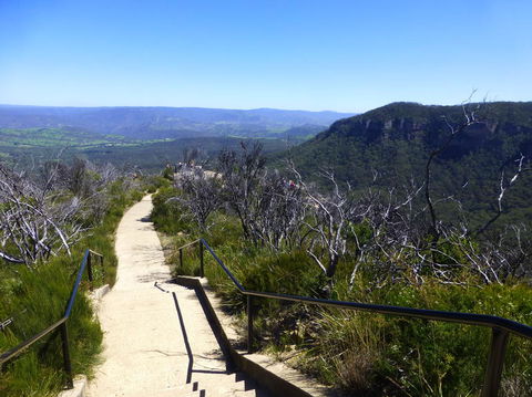 All Inclusive Blue Mountains Small-Group Day Trip From Sydney - Tourism TAS 9