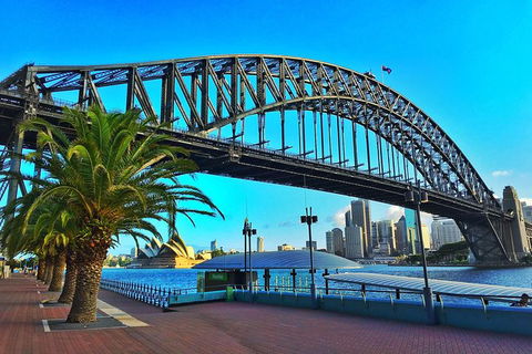 Half Day In Sydney With A Local: Private & Personalized - Tourism TAS 10