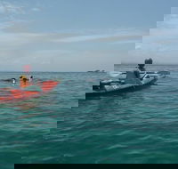 Kayaking with Dolphins in Byron Bay Guided Tour - Hobart Tourism