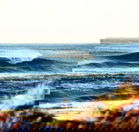 7-Day Byron Bay Evans Head and Moonee Beach Surf Safari from Brisbane Gold Coast or Byron Bay - Hobart Tourism