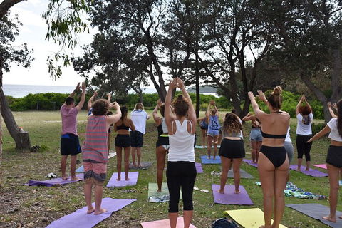 7-Day Byron Bay, Evans Head And Moonee Beach Surf Safari From Brisbane, Gold Coast Or Byron Bay - Hobart Tourism 3