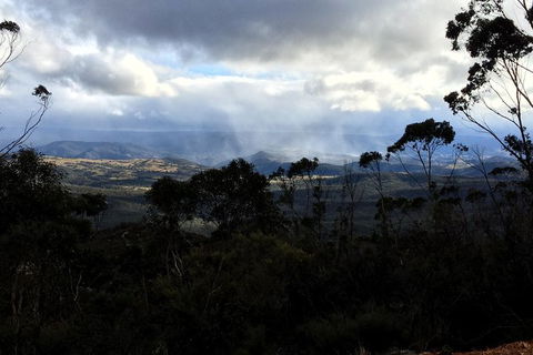 PJ Blue Mountains Trails - Tourism TAS 1