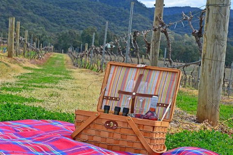 Private Hunter Valley And Gardens Day Trip From Sydney - Tourism TAS 0