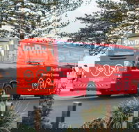 SkyBus Byron Bay Express - Hobart Tourism