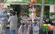 Private Sydney Multicultural Food Tour - thumb 4