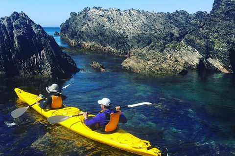 Half Day Sea Kayak Tour From Batemans Bay - Tourism TAS 1