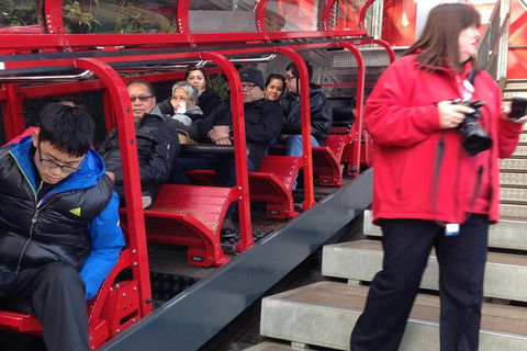All-Day Blue Mountains Private Tour With Professional Guide For Up To 4 People - Tourism TAS 8