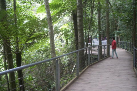 All-Day Blue Mountains Private Tour With Professional Guide For Up To 4 People - Tourism TAS 20