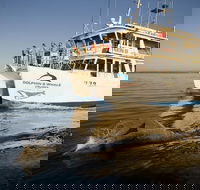 Jervis Bay Dolphin Watch Cruise