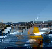 Batemans Bay Oyster Tasting Kayak Tour