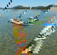 Batemans Bay Glass-Bottom Kayak Tour Over 2 Relaxing Hours