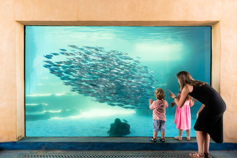 AQWA The Aquarium Of Western Australia - Hobart Tourism 0