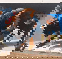 Big Bull Mural - Tourism TAS