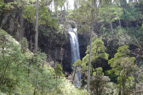 Bindaree Falls - Tourism TAS 0
