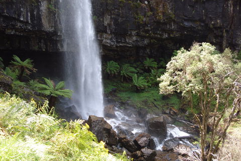 Bindaree Falls - Tourism TAS 1