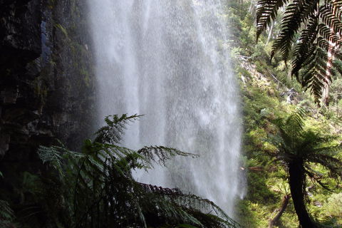 Bindaree Falls - Tourism TAS 2