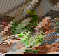 Birdworld Kuranda - Tourism TAS