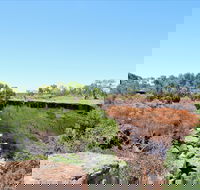 Bladensburg National Park - Tourism TAS