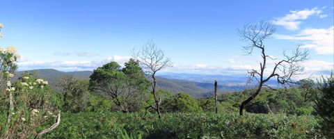 Blue Range Camping And Picnic Area - Hobart Tourism 0