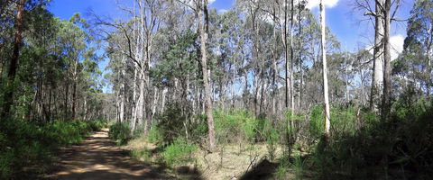 Blue Range Camping And Picnic Area - Hobart Tourism 1