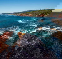 Boyds Tower to Saltwater Creek Walking Track - Tourism TAS