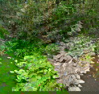 Brindle Creek Walking Track - Hobart Tourism