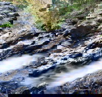 Casuarina Falls Circuit - Tourism TAS