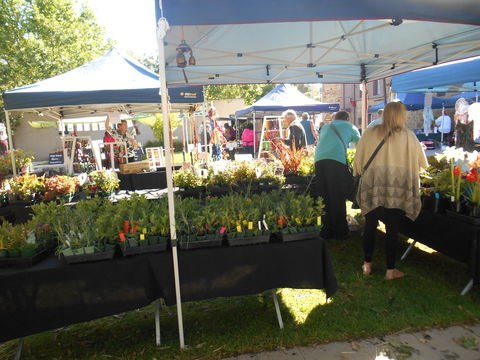 Clare Show Market - Tourism TAS 1