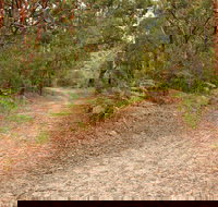 Daleys Point Walking Track - Tourism TAS