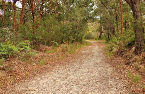 Daleys Point Walking Track - Tourism TAS 0