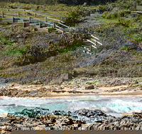 Dammerels History Walk - Tourism TAS
