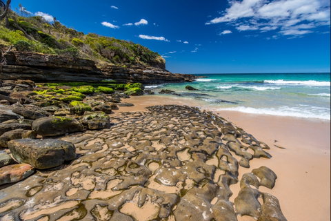 Dawsons Island Beach - Tourism TAS 0