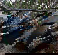 Delta Force Paintball Appin - Tourism TAS