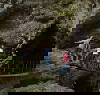 Dig the Tropic - Tourism TAS