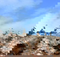Dirk Hartog Island National Park - Tourism TAS