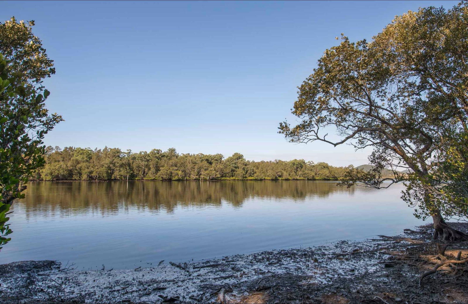 Limeburners Creek NSW Tourism TAS