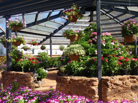 Geelong Botanic Gardens - Tourism TAS 1