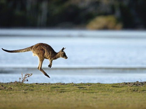 Greens Beach - Hobart Tourism 1
