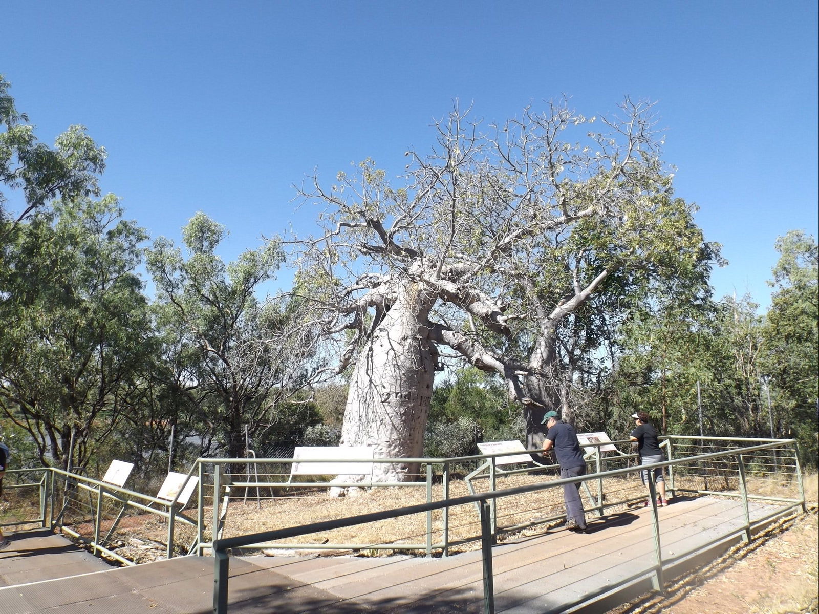 Gregory NT Tourism TAS
