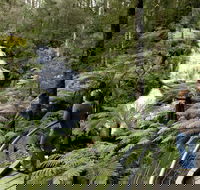 Great Otway National Park - Hobart Tourism