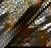 Gulaga National Park - Tourism TAS