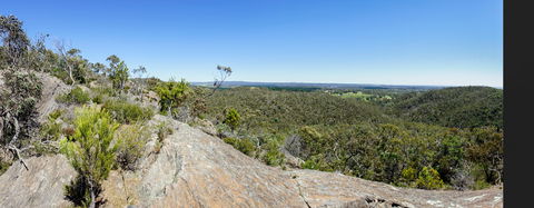 Hale Conservation Park - Tourism TAS 0