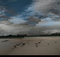Hardwicke Bay - Hobart Tourism