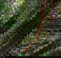 Hidden Treasure Track - Tourism TAS