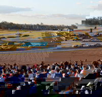 Ipswich Motorsport Precinct - Tourism TAS