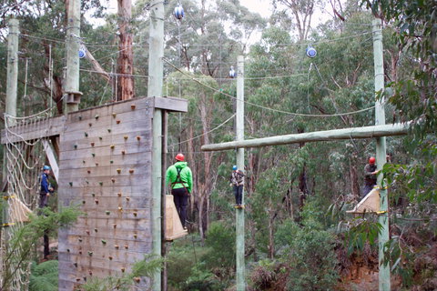 Kinglake Forest Adventures - Tourism TAS 1