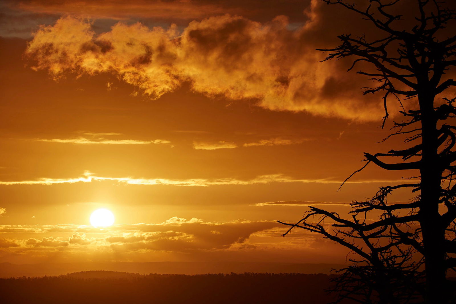 Kinglake Central VIC Tourism TAS