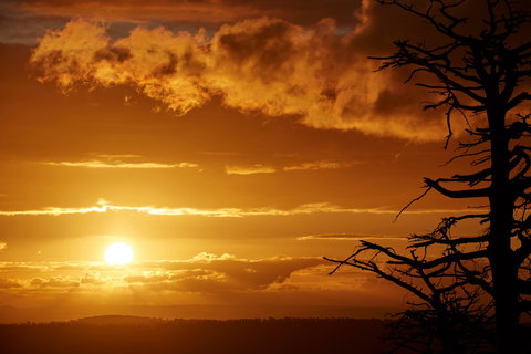 Lady Stonehavens Lookout - Tourism TAS 0