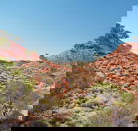 Lark Quarry Conservation Park - Tourism TAS
