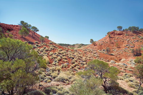 Lark Quarry Conservation Park - Tourism TAS 0